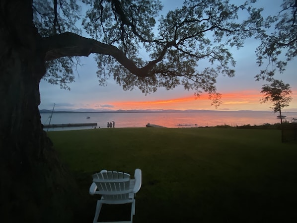 A grassy area with a white chair and a tree.