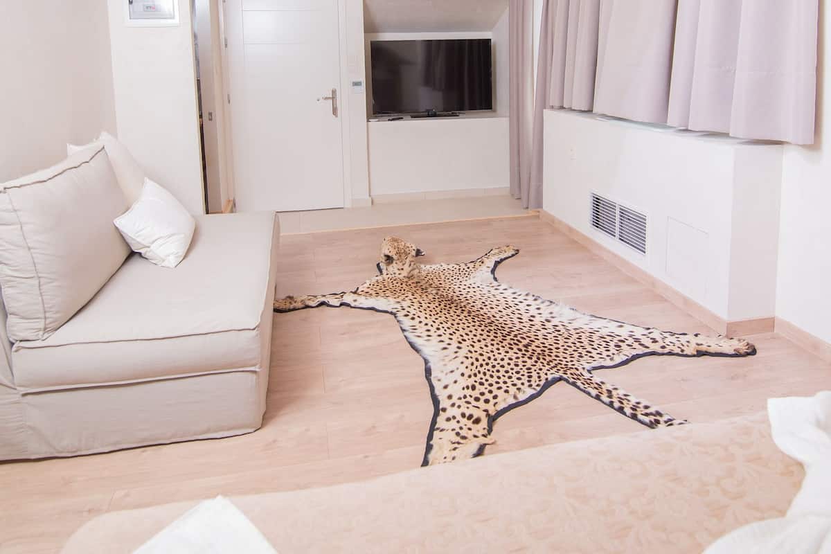 A room with a wooden ceiling, a sofa, a leopard print rug, and a window with curtains.