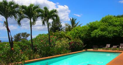 Wailea Custom Home, Pool, Panoramic Ocean View, Waterfalls - Maui Ocean Palms