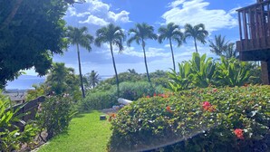 A garden with palm trees, a lawn, and a view of the ocean.