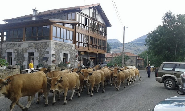 Posada El Mirador - Cantabria