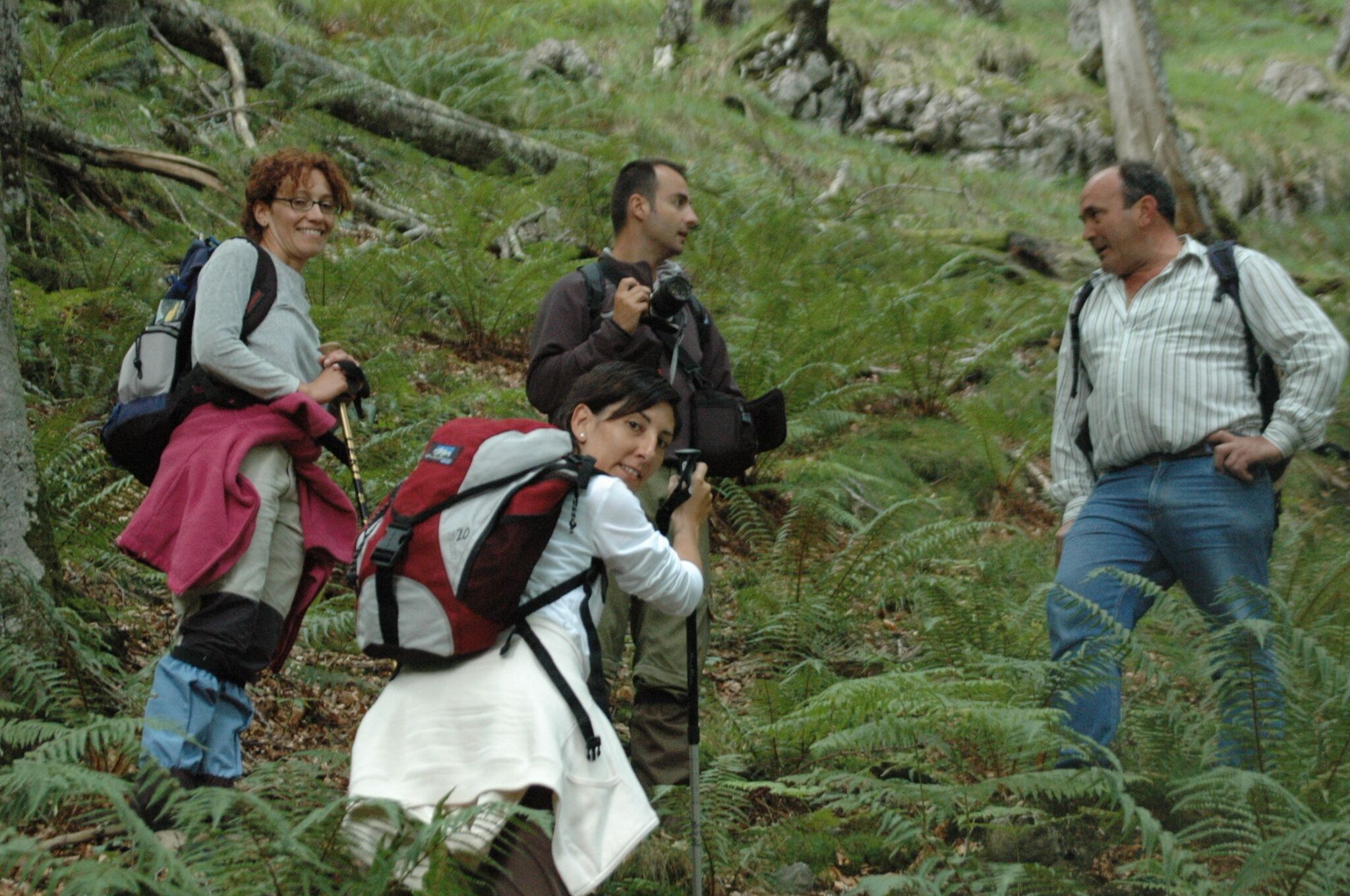 Un grupo de personas caminando por un área boscosa con helechos y árboles.