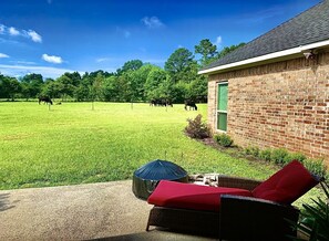 Property grounds - A 4 bedroom beautiful custom home located 5 miles away from downtown Tyler, Tx.  (Flint)