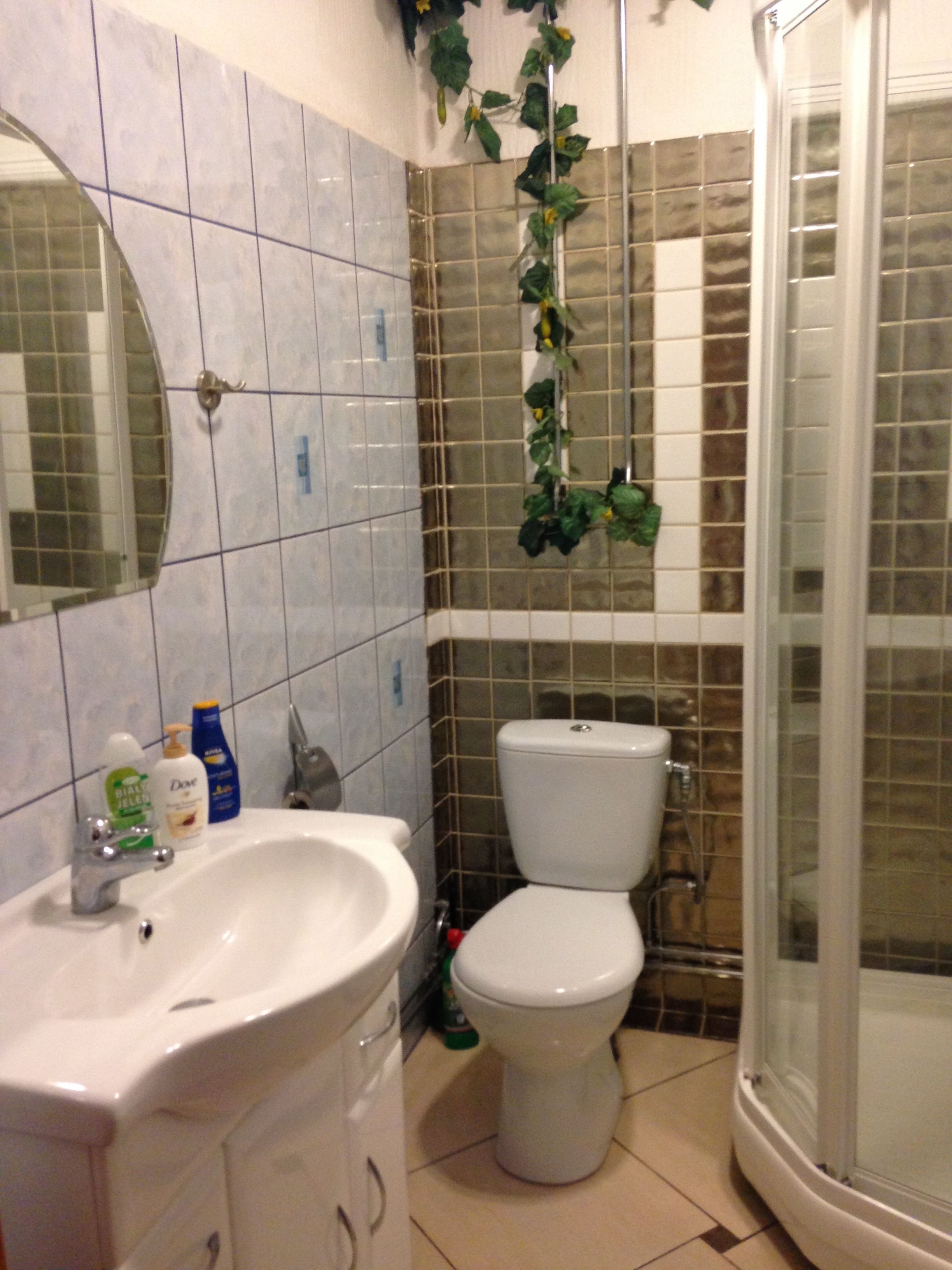 A bathroom with a sink, toilet, and shower.