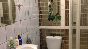 A bathroom with a sink, toilet, and shower.
