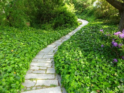 Solrosen i Simrishamn