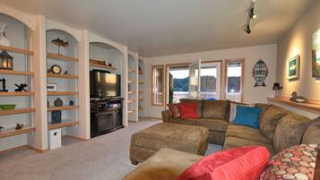 Smart TV, fireplace, DVD player, books
