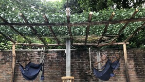 Un espace piscine agrémenté de deux hamacs suspendus à une pergola en bois.