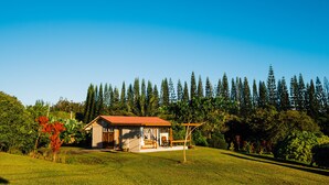 Une petite maison avec un toit rouge, entourée d’un paysage verdoyant et luxuriant et de grands arbres.