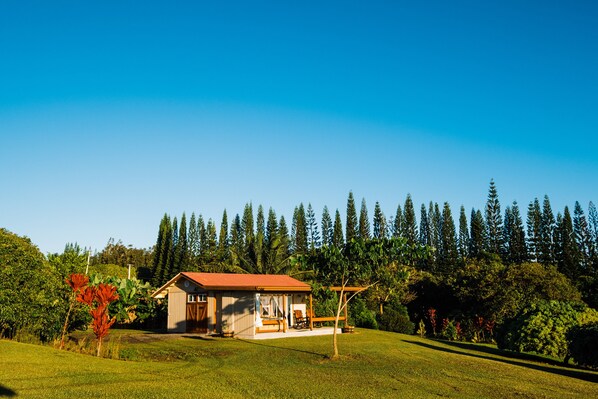 A small house with a red roof, surrounded by a lush green landscape and tall trees.