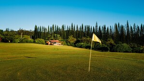 Un terrain de golf avec un mât de drapeau, un petit bâtiment et une forêt dense en arrière-plan.
