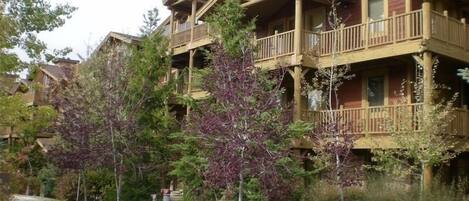 A multi-story lodge with balconies, surrounded by trees and a paved walkway.