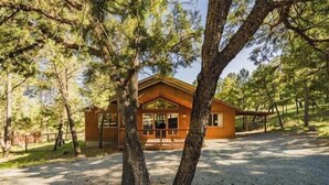 A cabin with a porch, surrounded by trees. - Tucked Away Cabin | Quiet Forest Haven w/ Hot Tub Deck (Ruidoso)