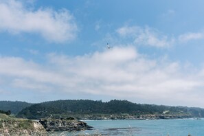 Sun loungers, beach towels - Cozy, Romantic Cottage just 3 minutes from the village of Mendocino! (Mendocino)