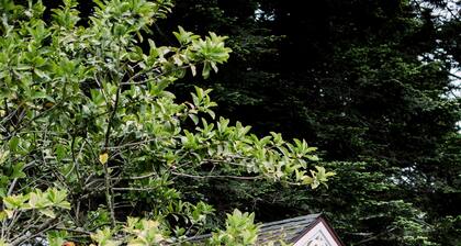 Cozy, Romantic Cottage just 3 minutes from the village of Mendocino!