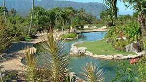 A tropical resort with a swimming pool, palm trees, and a view of mountains. - Hanalei Bay Resort Ocean Front Unobstructed Bali Hai View!  (princeville)