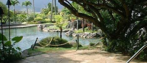 Un site de sources chaudes avec un sentier en pierre, une végétation luxuriante et une petite piscine.