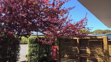 Una recinzione di legno, un idrante e un albero con fiori rosa.