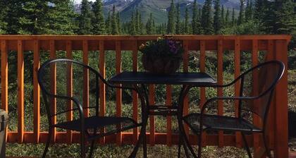 Clean & quiet cabin with stunning mountain views