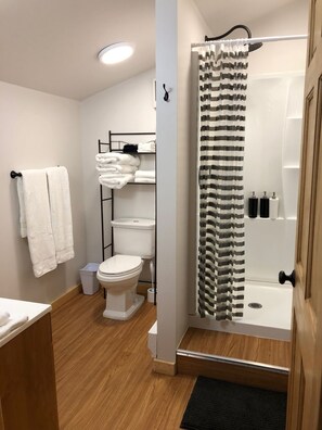 Shower, rainfall showerhead, hair dryer, towels - Clean & quiet cabin with stunning mountain views (Healy)
