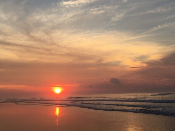 بالقرب من الشاطئ، كراسي للتشمس