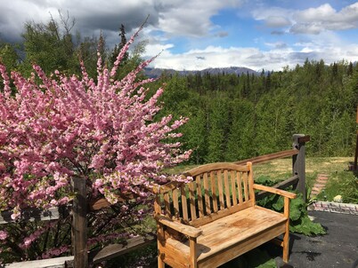 Mountain Vista Retreat, Excellent Views, Private entrance and living area