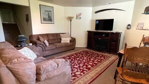 A living room with a brown sofa, a red and white patterned rug, a wooden chair, a television, and a fireplace. - Mountain Vista Retreat, Excellent Views, Private entrance and living area (Palmer)
