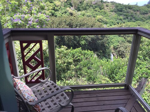 Ocean View Cabin located on Organic Coffee Farm with Hiking Trails