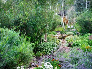 Property grounds - Terracehouse - Steps to Slopes - Hot Tub/Pool - ASE Transportation (Snowmass Village)