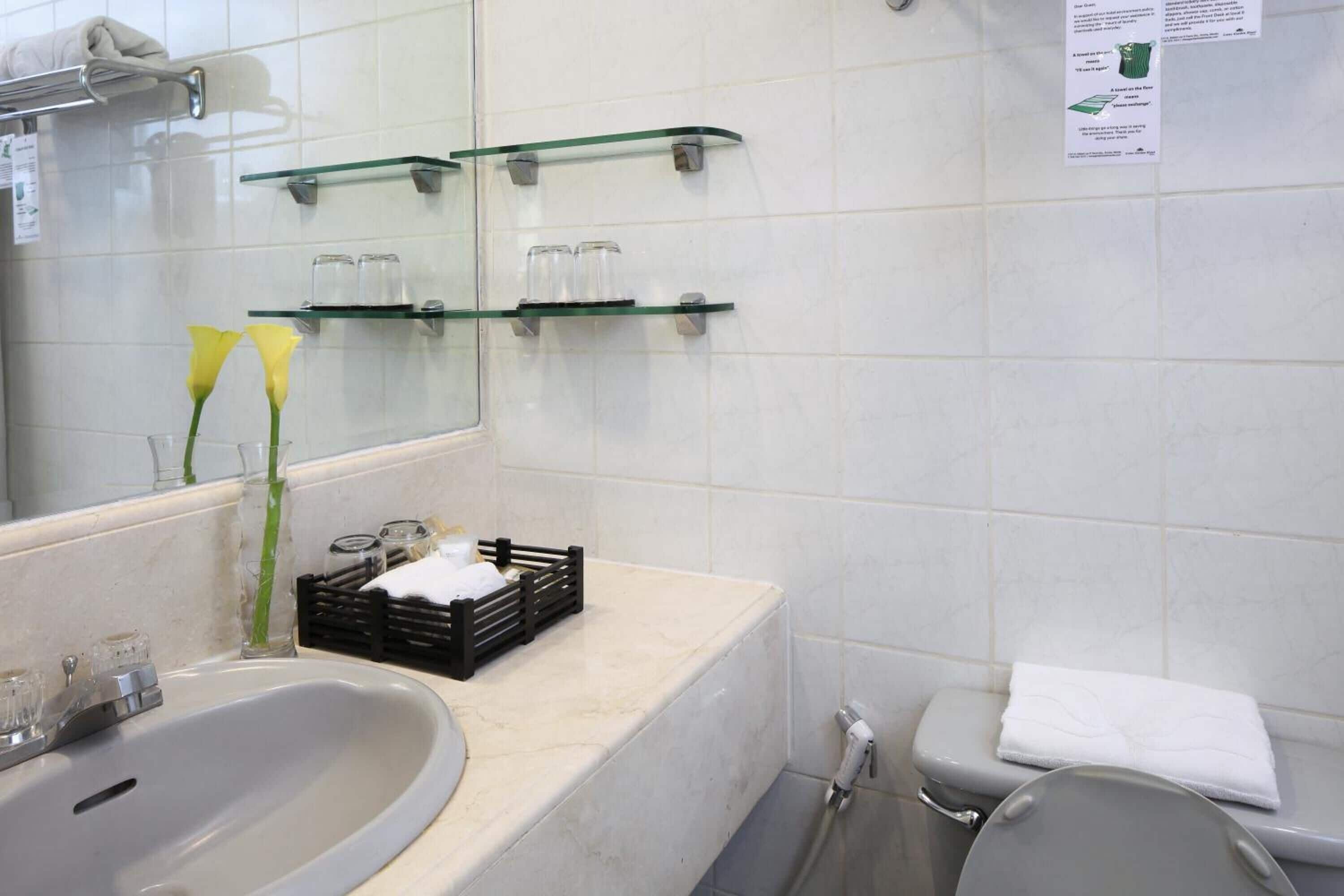 deluxe room | bathroom | shower, free toiletries, hair dryer, bidet