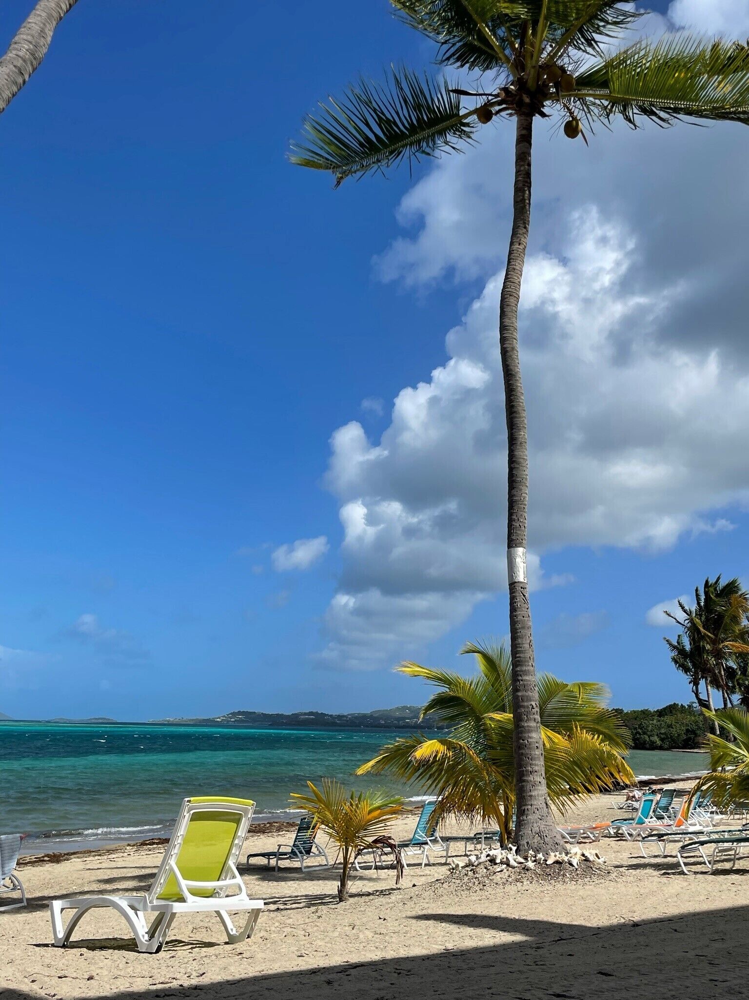 على الشاطئ، كراسي للتشمس، مناشف للشاطئ