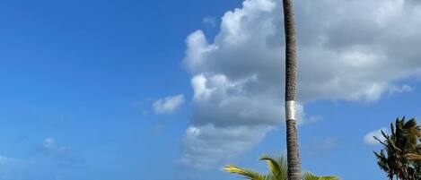 على الشاطئ، كراسي للتشمس، مناشف للشاطئ