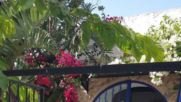 Property entrance - Maison D'Hayat (Essaouira)