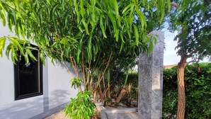 Una casa moderna con un pilar de piedra, una ventana y abundante vegetación.