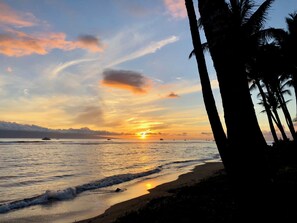 Une plage bordée de palmiers, avec un coucher de soleil.