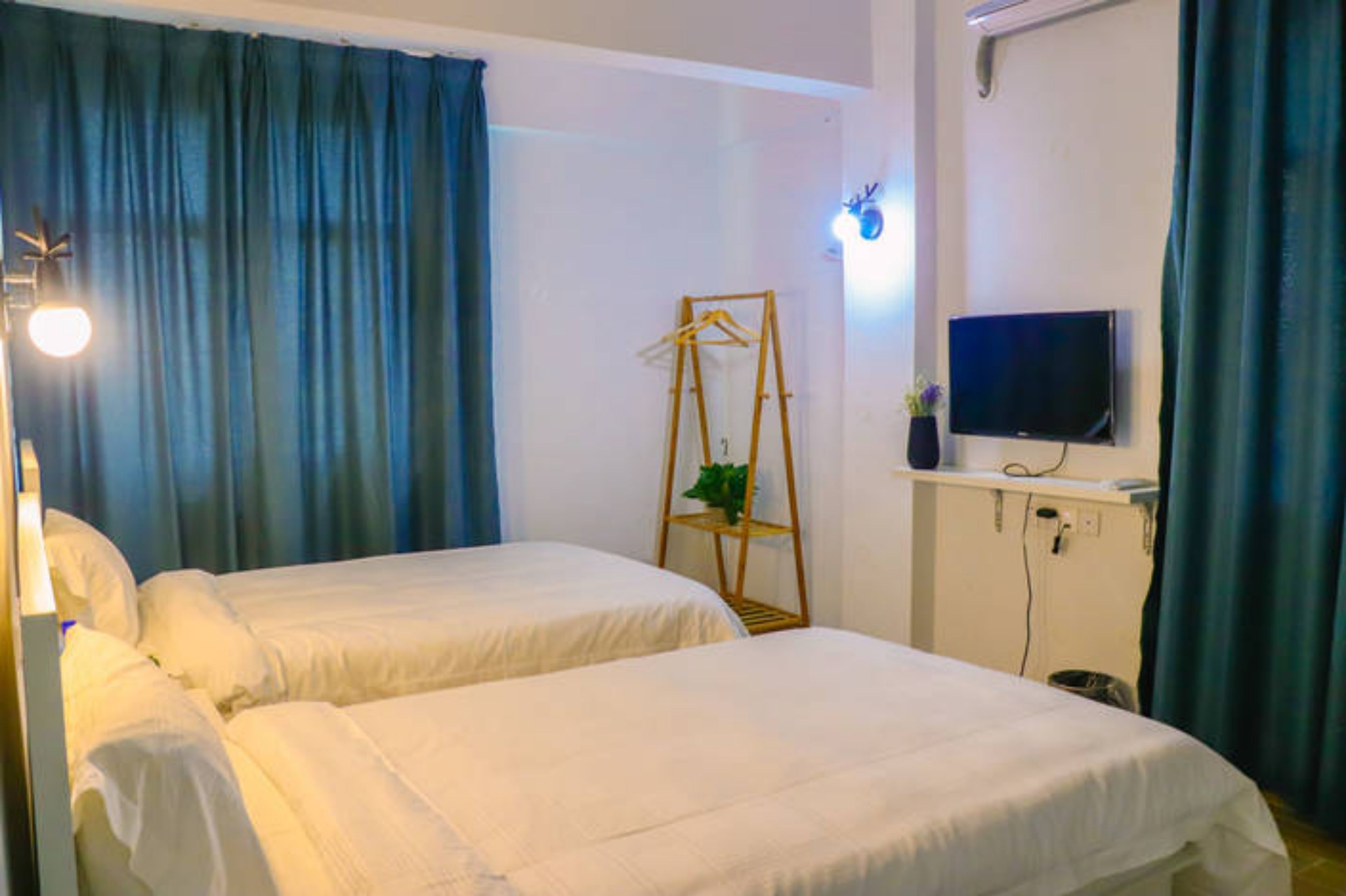 Une chambre d’hôtel avec deux lits, une télévision, une petite étagère avec une plante et un porte-manteau en bois.