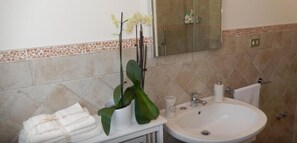 Shower, free toiletries, hair dryer, bidet