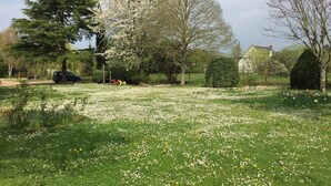A park with a grassy area, trees, and a building in the background. - Gîte Amboise - Roulotte Chais Catherine (Amboise)