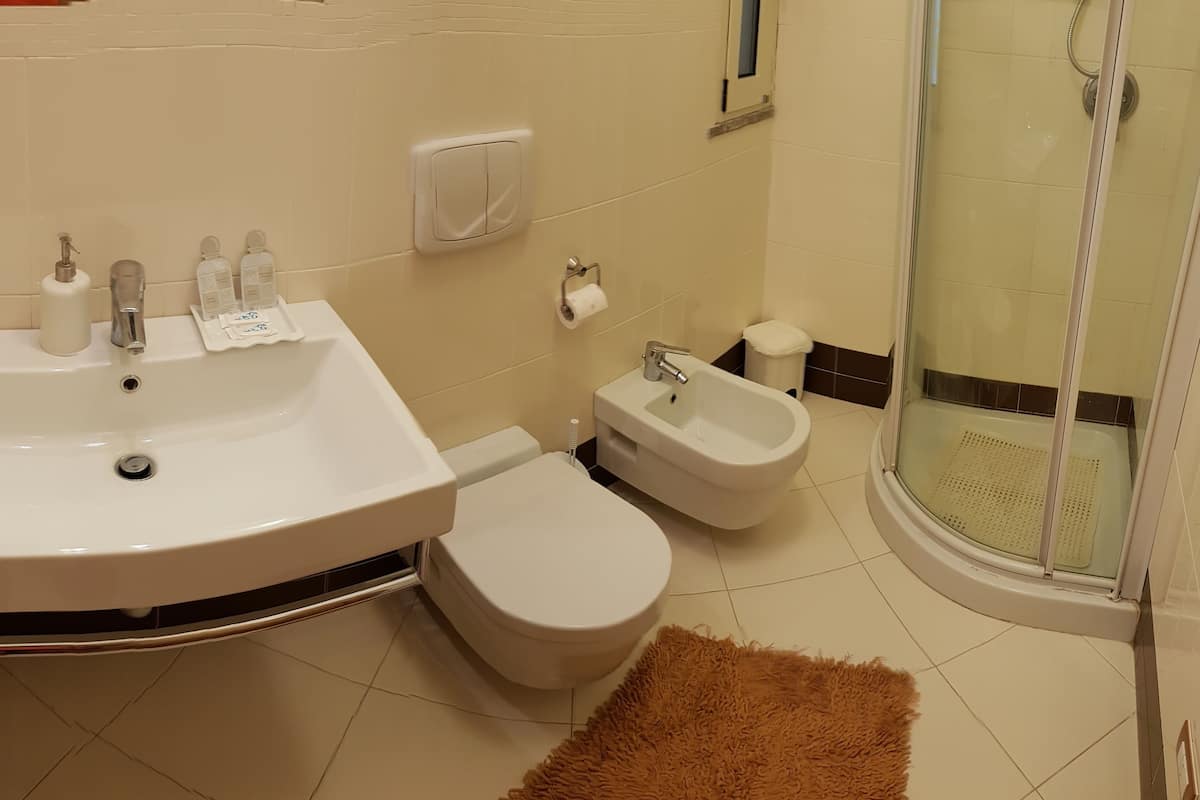 Shower, free toiletries, hair dryer, bathrobes