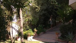 Taman