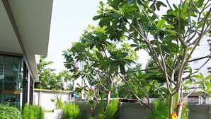 شرفة/رواق