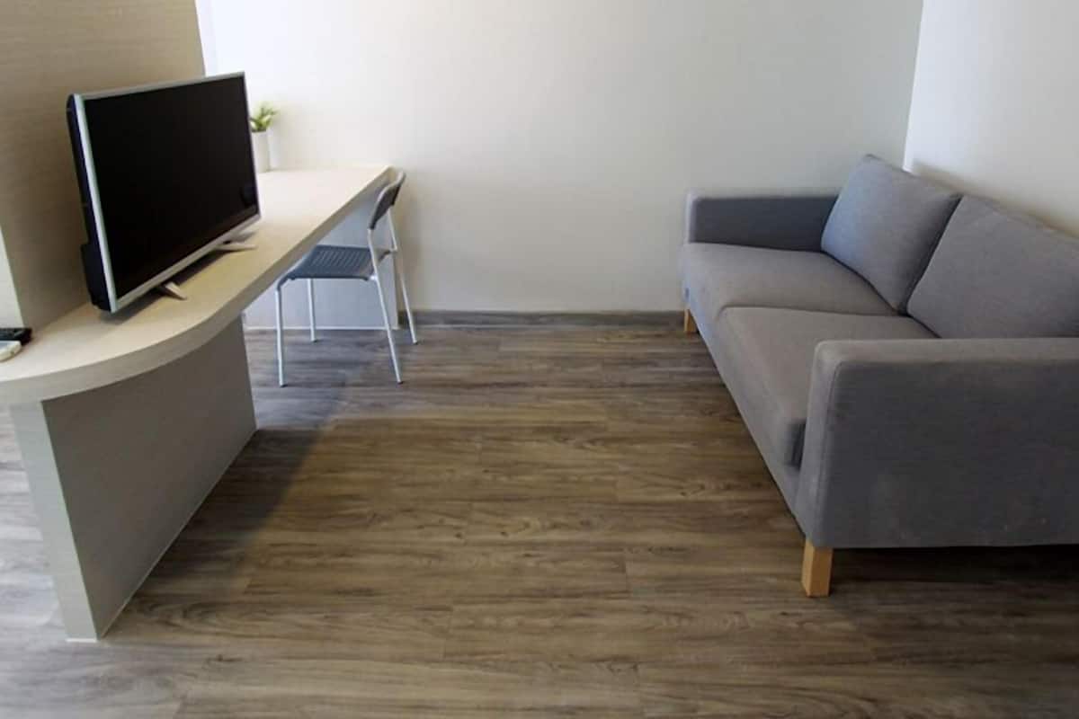 deluxe double room | living area | flat-screen tv