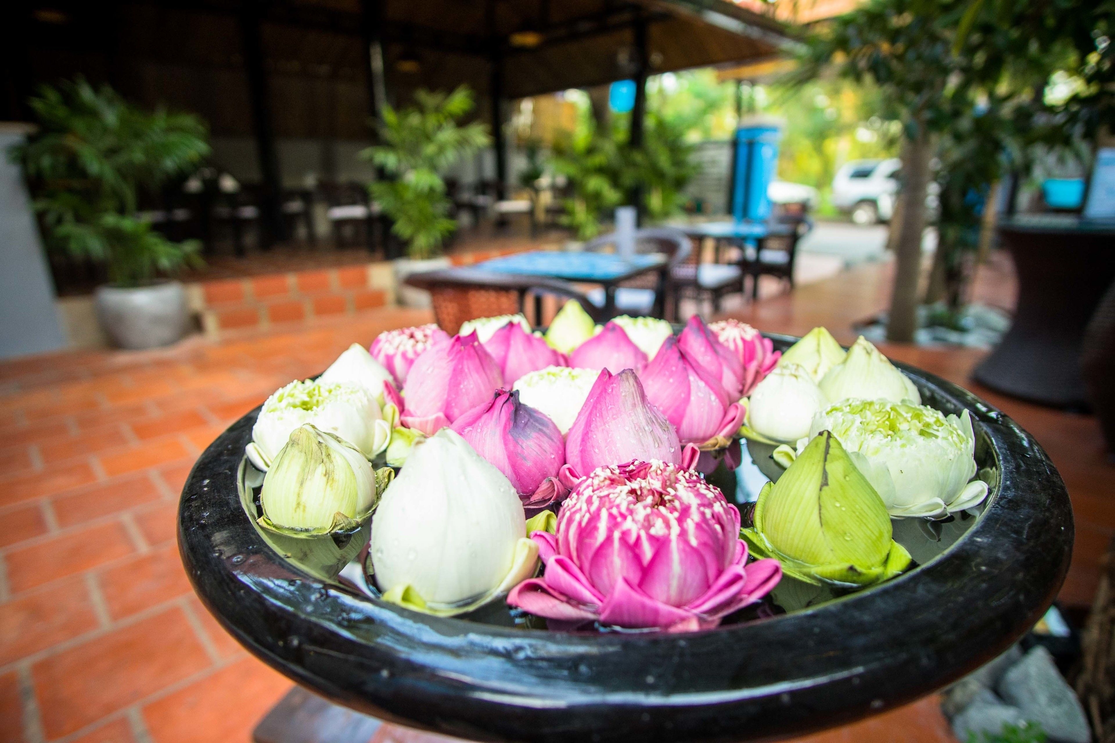 Foto - River Retreat Boutique Hotel