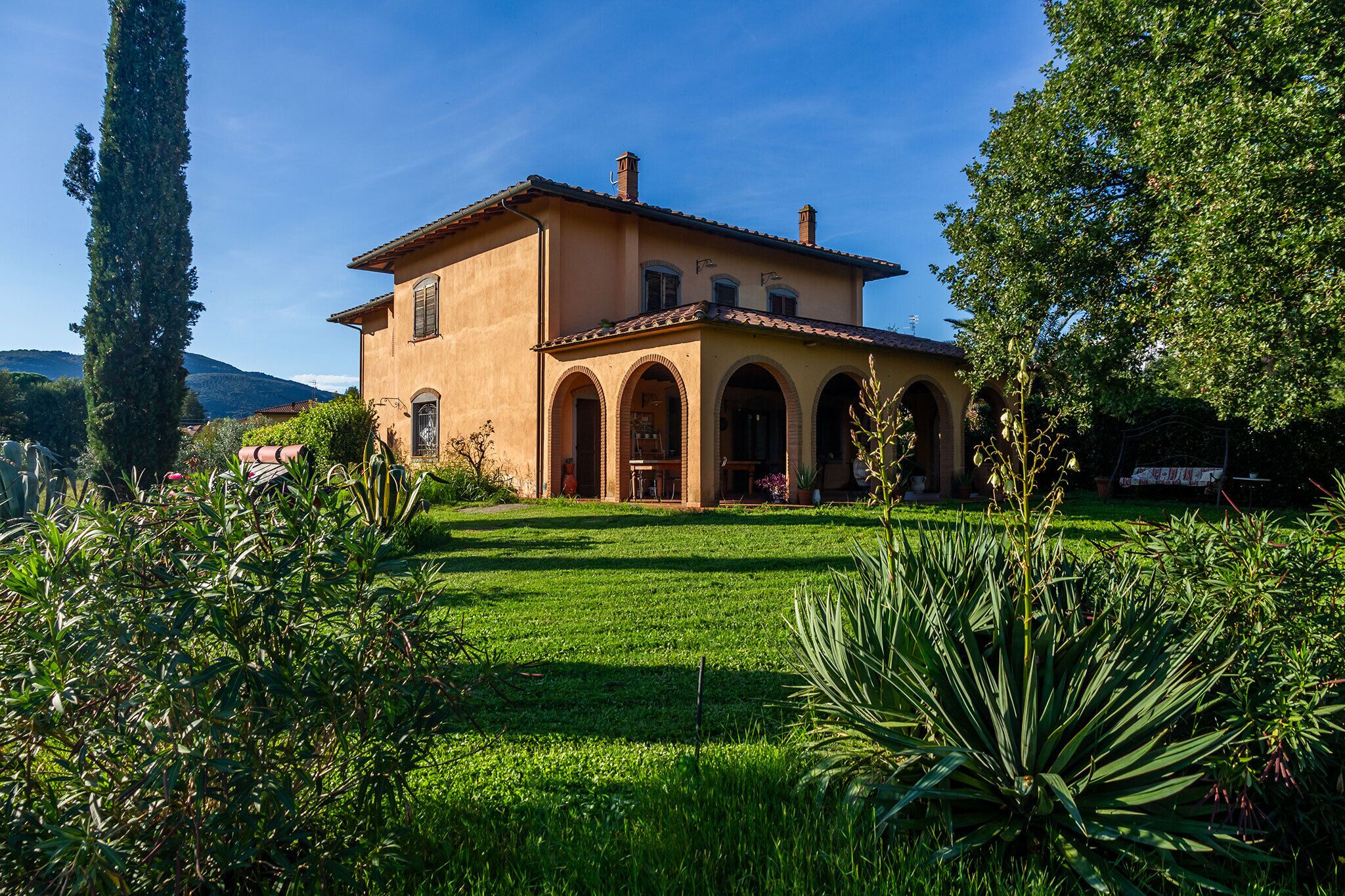 واجهة المنشأة