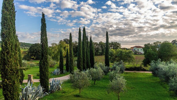 A lush garden with tall cypress trees, a variety of shrubs, and a well-maintained lawn. - Agriturismo Bio Fattoria Casetta (Gavorrano)