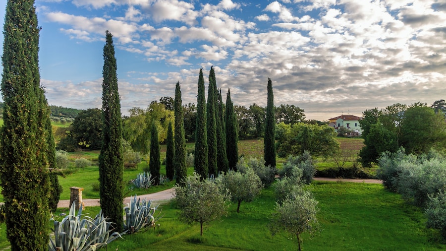 Agriturismo Bio Fattoria Casetta
