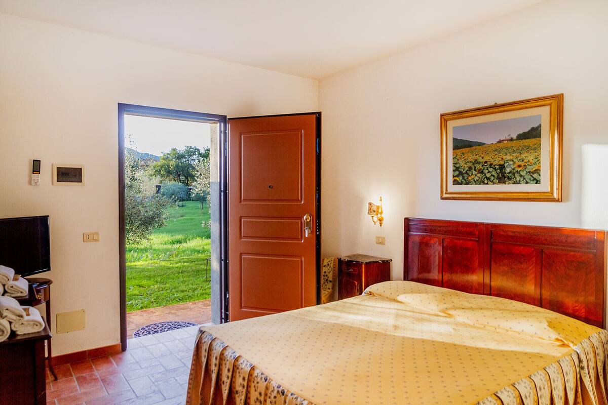 A hotel room with a bed, a television, a door leading to a garden, and a framed picture on the wall.