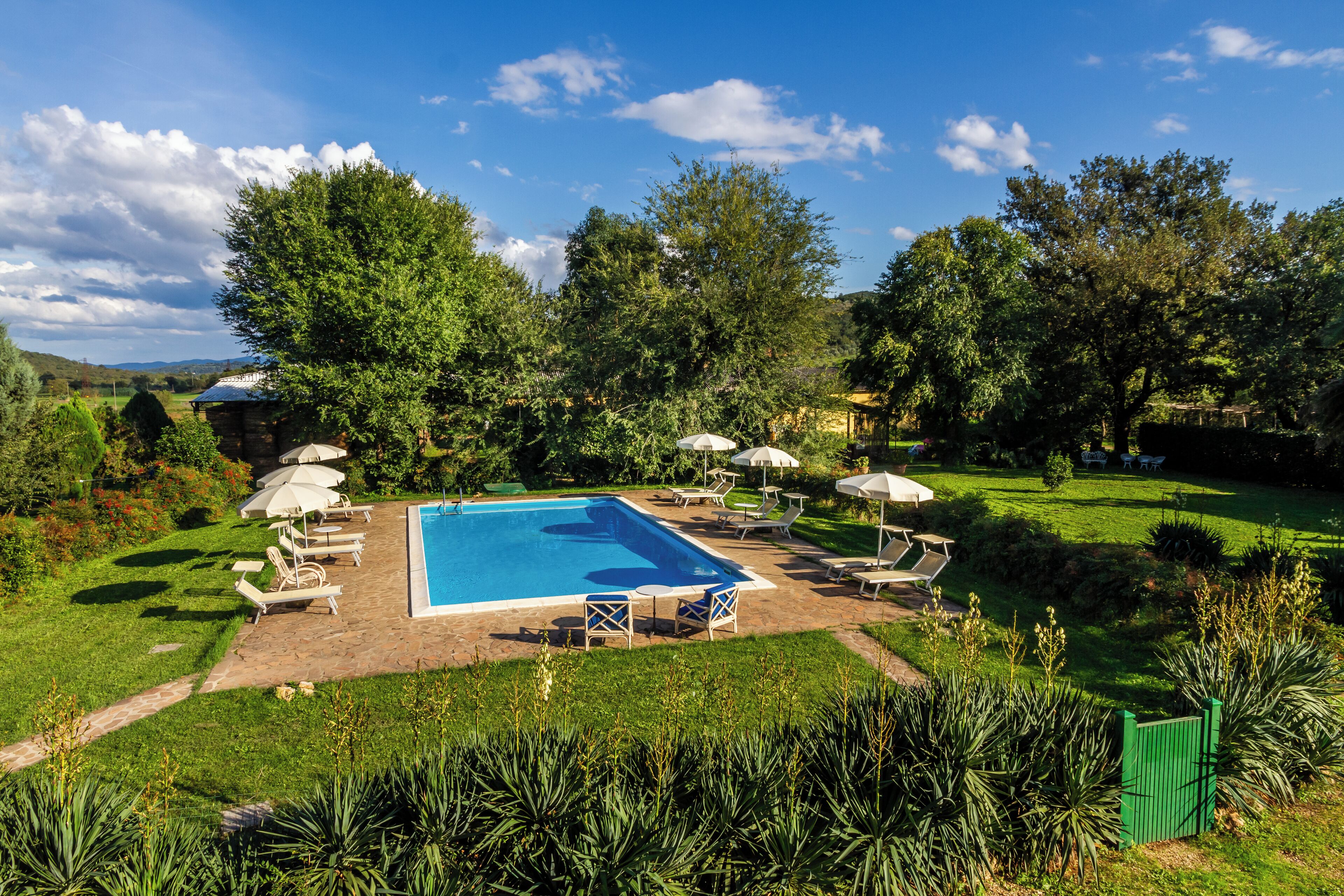 A rectangular swimming pool with lounge chairs and umbrellas, surrounded by lush greenery and trees.