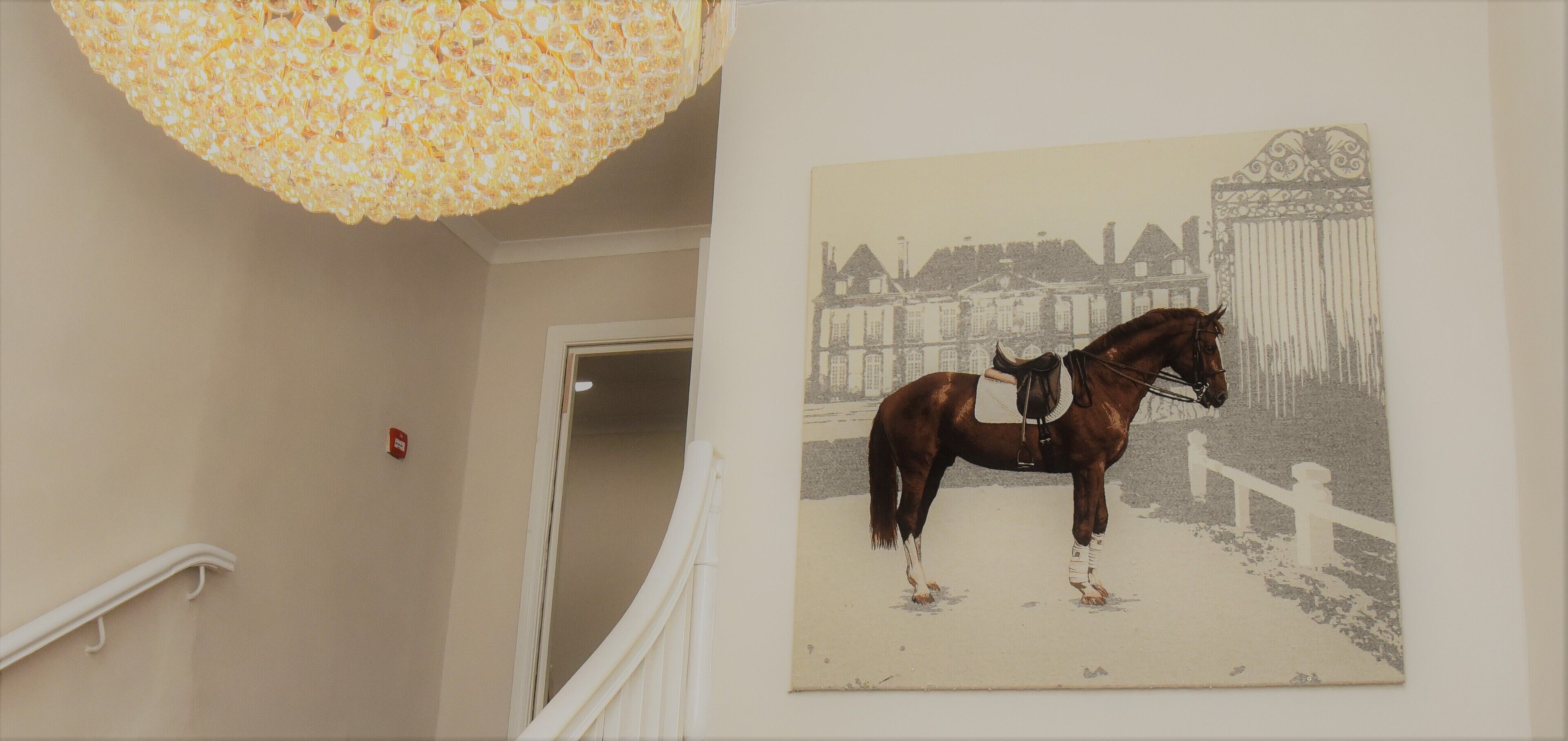 Foto - Kildare House Hotel