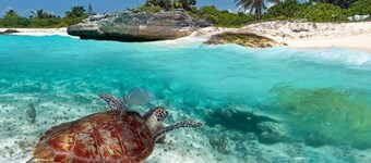 Casa en Acapulco frente a la bahia 015